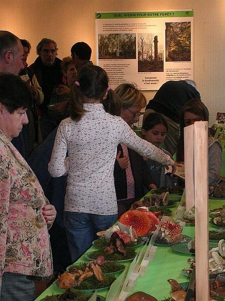 2008 10 Expo Bergerie Rambouillet 73